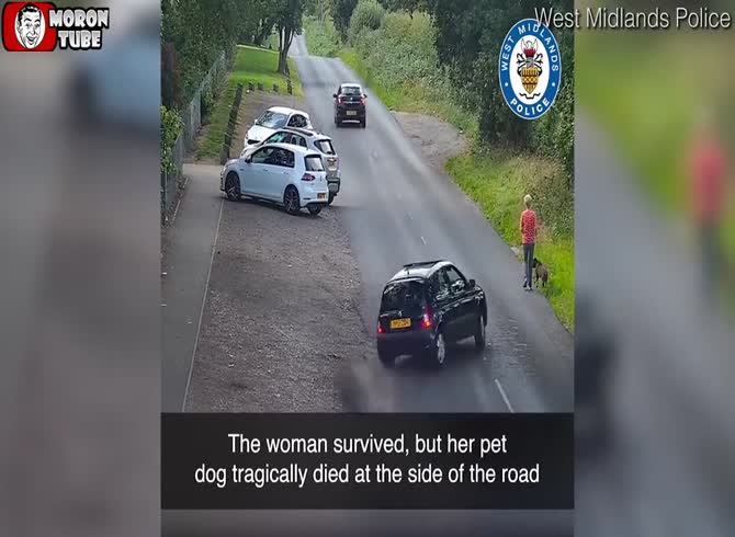 Video :An unlicensed driver who struck a woman and killed her dog escapes prison